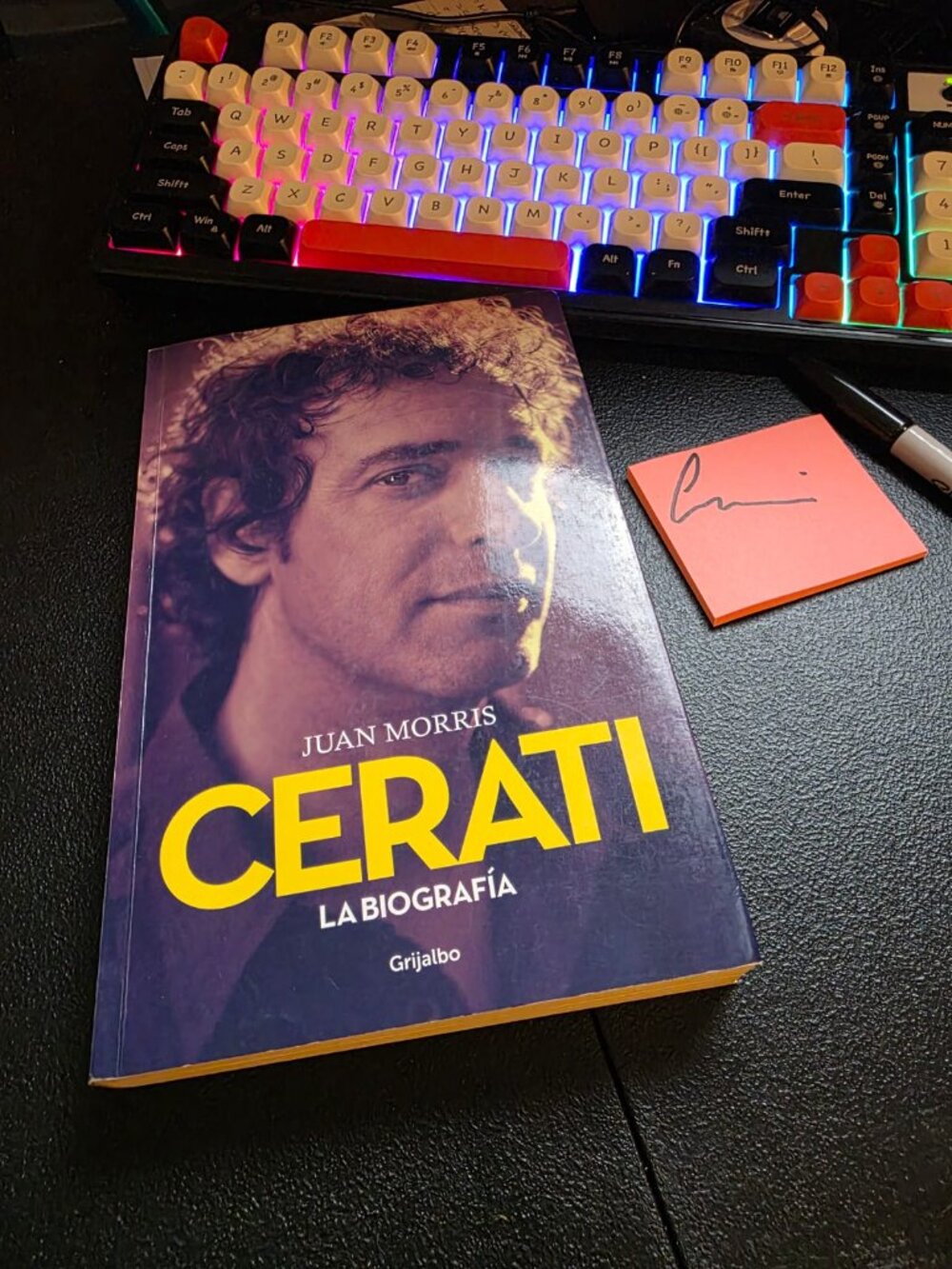 Cerati. la Biografia Paperback Juan Morris - Picture 6 of 6